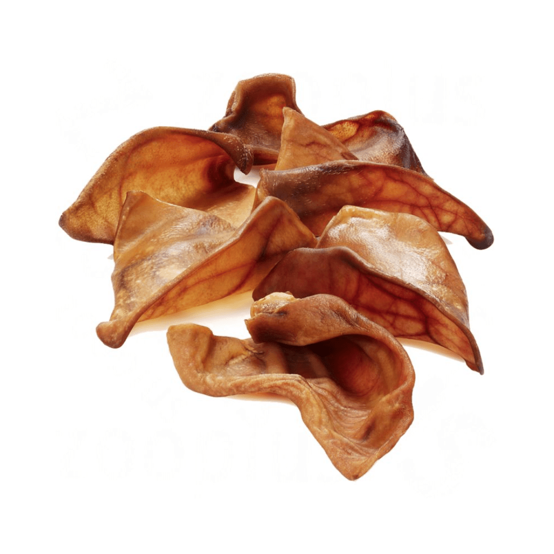 Kane Veterinary Supplies Dog Treats - Natural Pig Ears - Toronto Pets