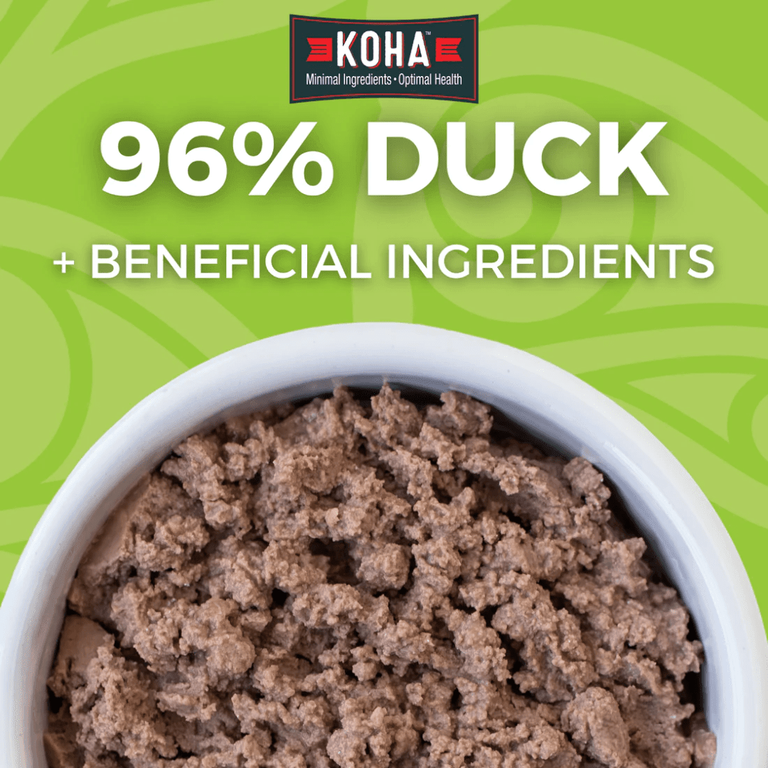 KOHA Wet Cat Food - Limited Ingredient Diet Duck Pate Canned - Toronto Pets