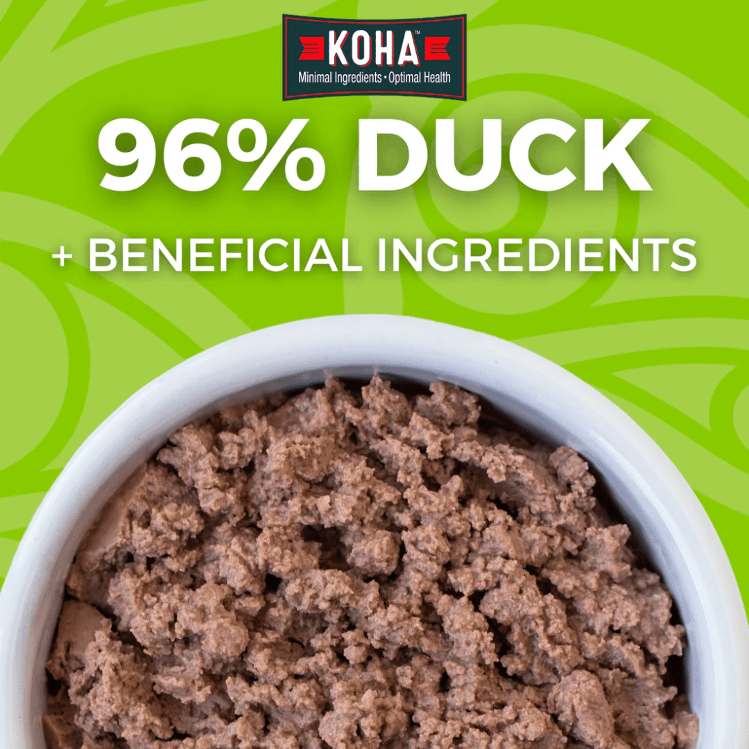 KOHA Wet Cat Food - Limited Ingredient Duck Pate Canned - Toronto Pets