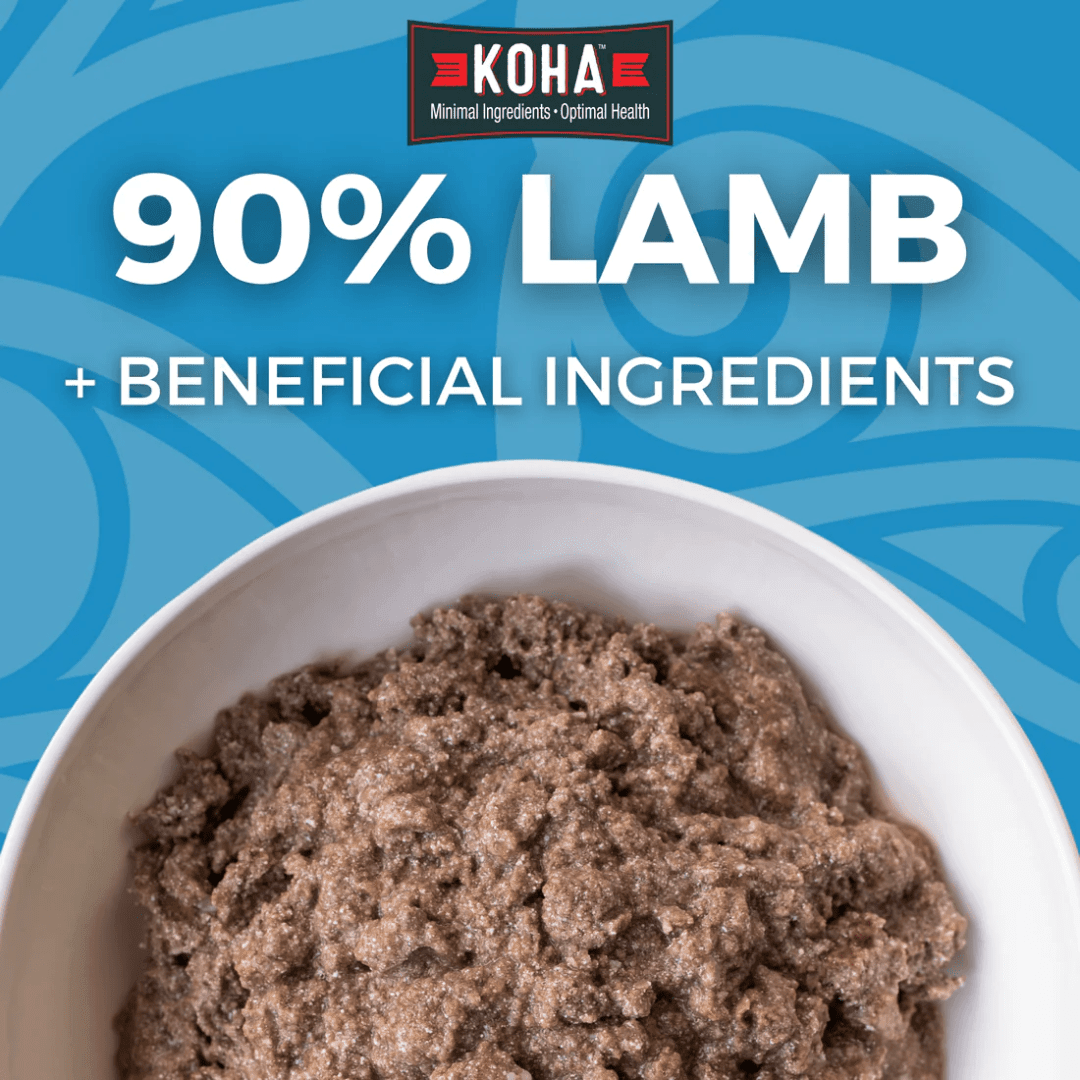 KOHA Wet Dog Food - Limited Ingredient Diet Lamb Entree Canned - Toronto Pets