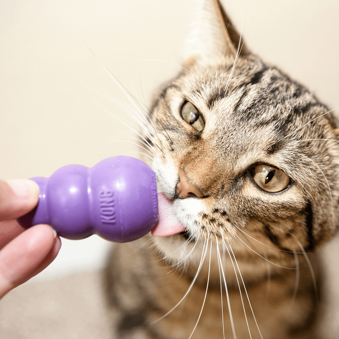 Kong Cat Toy - Kitty Kong Toy & Treat Dispenser - Toronto Pets