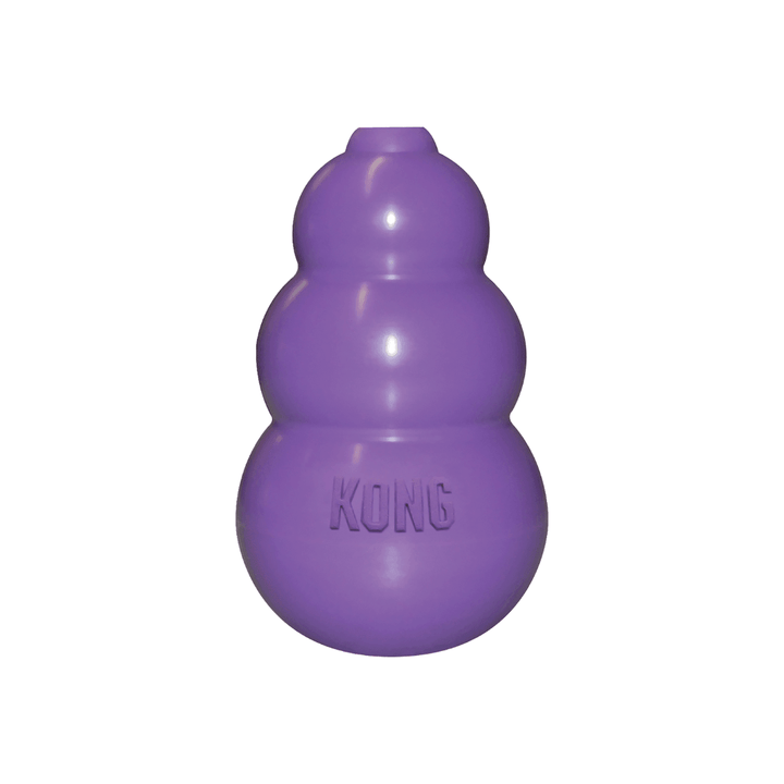 Kong Cat Toy - Kitty Kong Toy & Treat Dispenser - Toronto Pets