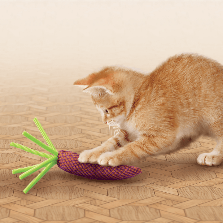 Kong Cat Toys - Catnip Nibble Carrot - Toronto Pets