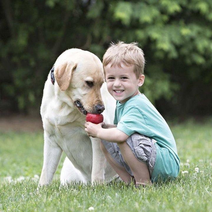 Kong Dog Toy - Classic - Toronto Pets