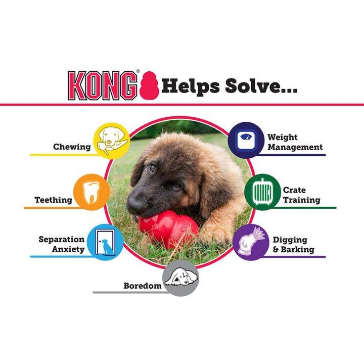 Kong Dog Toy - Classic - Toronto Pets