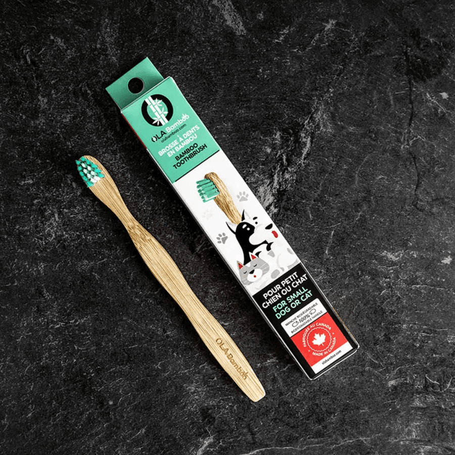 OLA Bamboo Pet Toothbrush - Small Dog and Cat - Toronto Pets