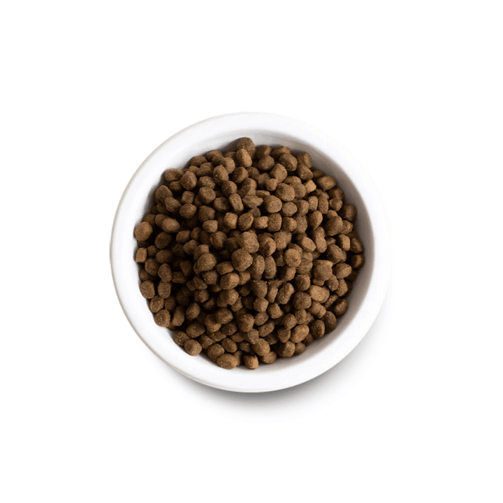 Open Farm Dry Dog Food - Grain - Free Wild - Caught Salmon - Toronto Pets