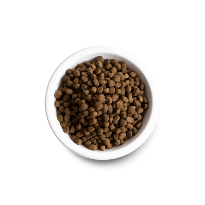 Open Farm Dry Dog Food - Grass - Fed Beef & Ancient Grains - Toronto Pets