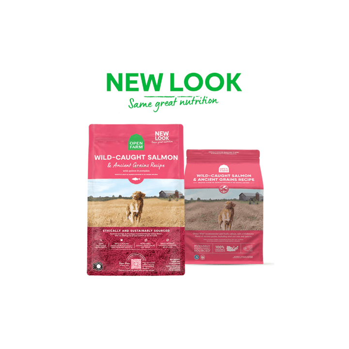 Open Farm Dry Dog Food - Wild - Caught Salmon & Ancient Grains - Toronto Pets