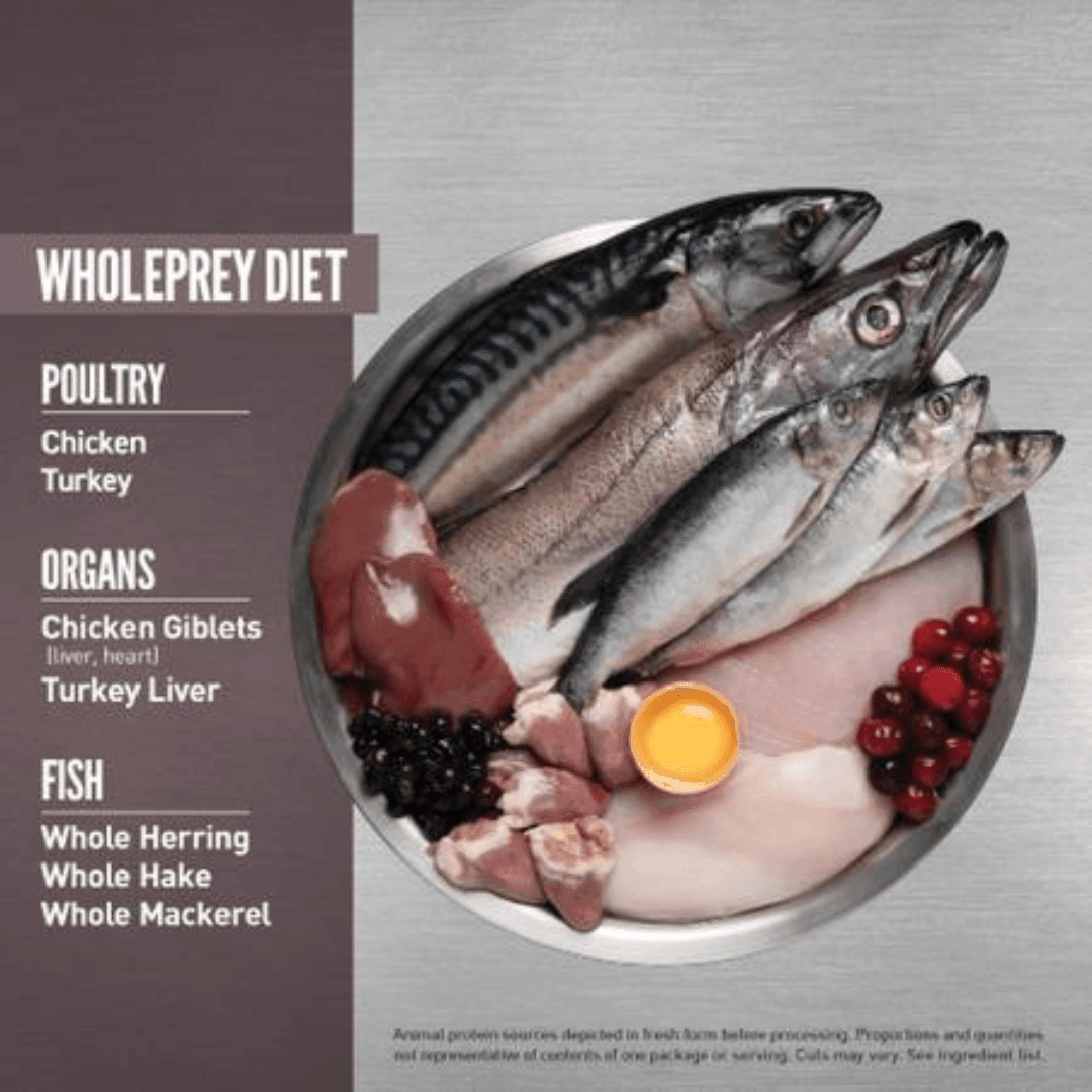 Orijen Dry Cat Food - Fit & Trim Chicken, Turkey, Wild - Caught Fish Adult - Toronto Pets