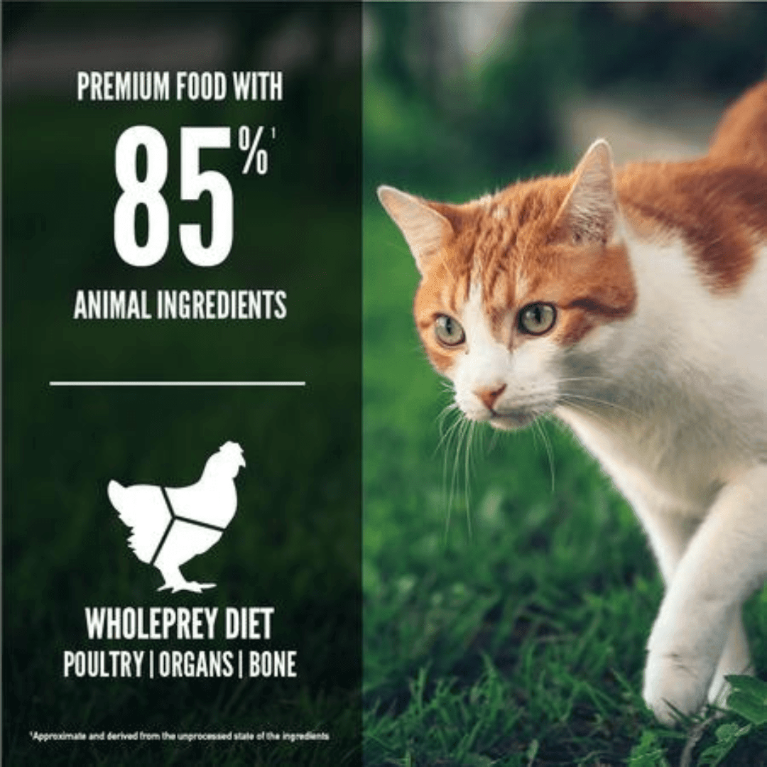 Orijen Dry Cat Food - Fit & Trim Chicken, Turkey, Wild - Caught Fish Adult - Toronto Pets