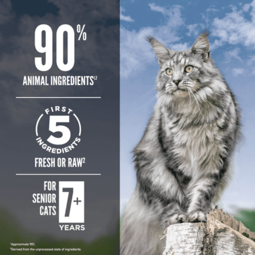 Orijen Dry Cat Food - Guardian 8 Senior Formula - Toronto Pets