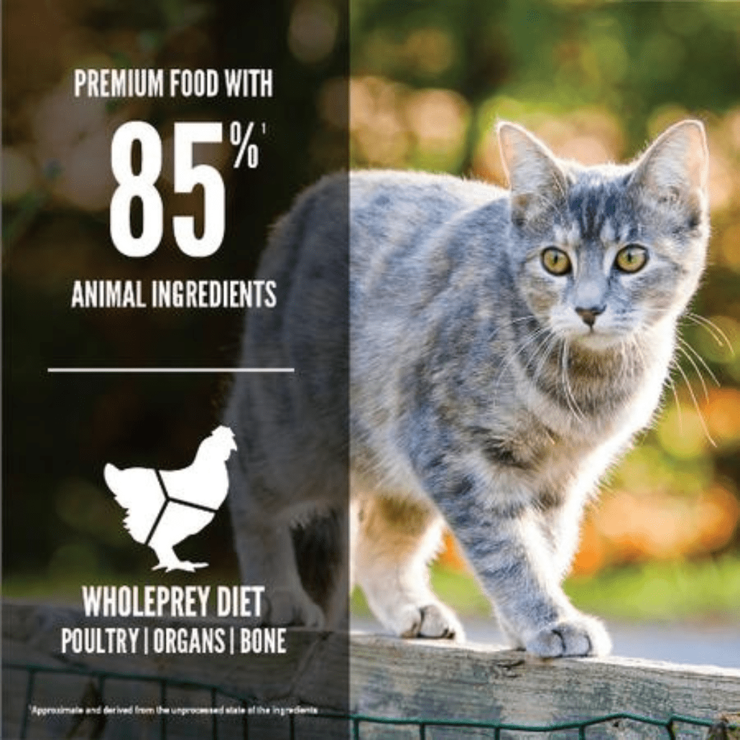 Orijen Dry Cat Food - Original Chicken, Turkey and Wild - Caught FIsh - Toronto Pets