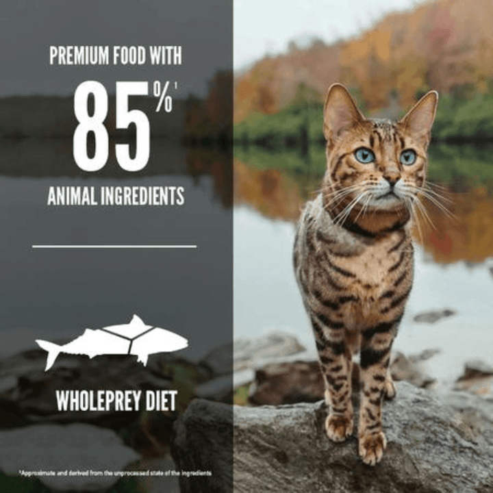 Orijen Dry Cat Food - Six Fish - Toronto Pets