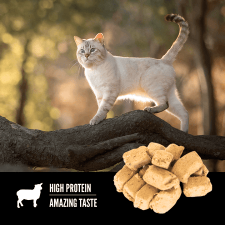 Orijen Freeze - Dried Cat Treat - Lamb Recipe - Toronto Pets