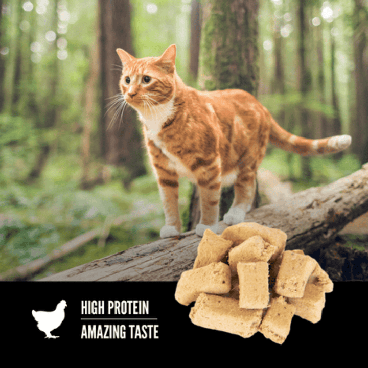 Orijen Freeze - Dried Cat Treats - Original Free - Run Poultry and Wild - Caught Flounder - Toronto Pets