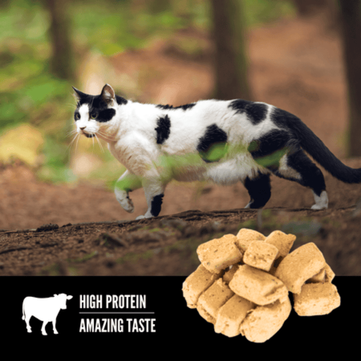 Orijen Freeze - Dried Cat Treats - Regional Red Recipe - Toronto Pets