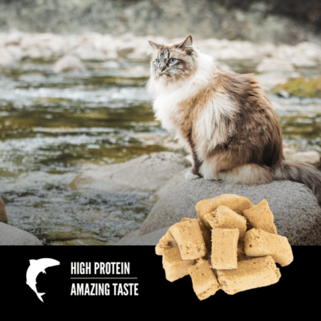 Orijen Freeze Dried Cat Treats - Six Fish - Toronto Pets