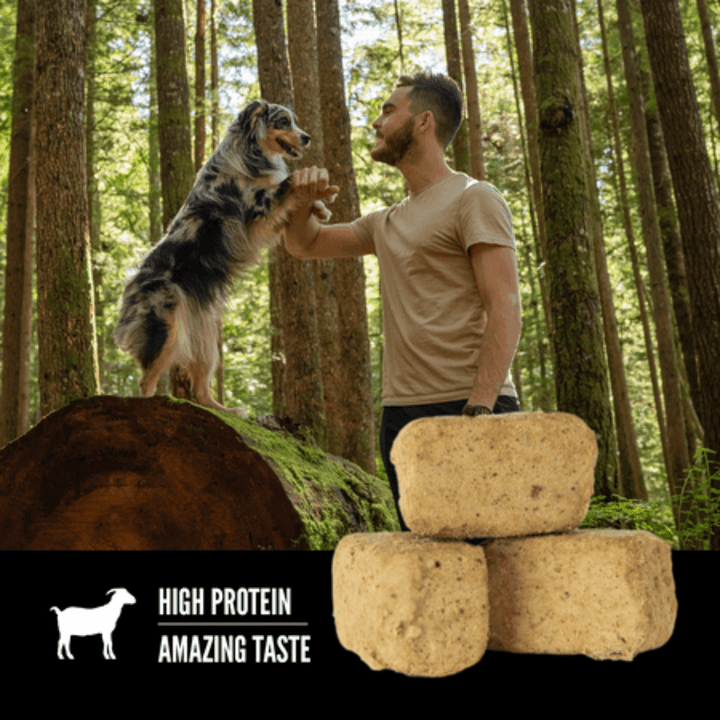 Orijen Freeze Dried Dog Treats - Tundra Recipe - Toronto Pets