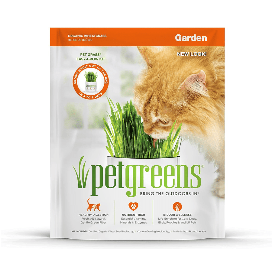 Pet Greens Cat Treats - Garden Wheat Grass Self - Grow Kit - Toronto Pets