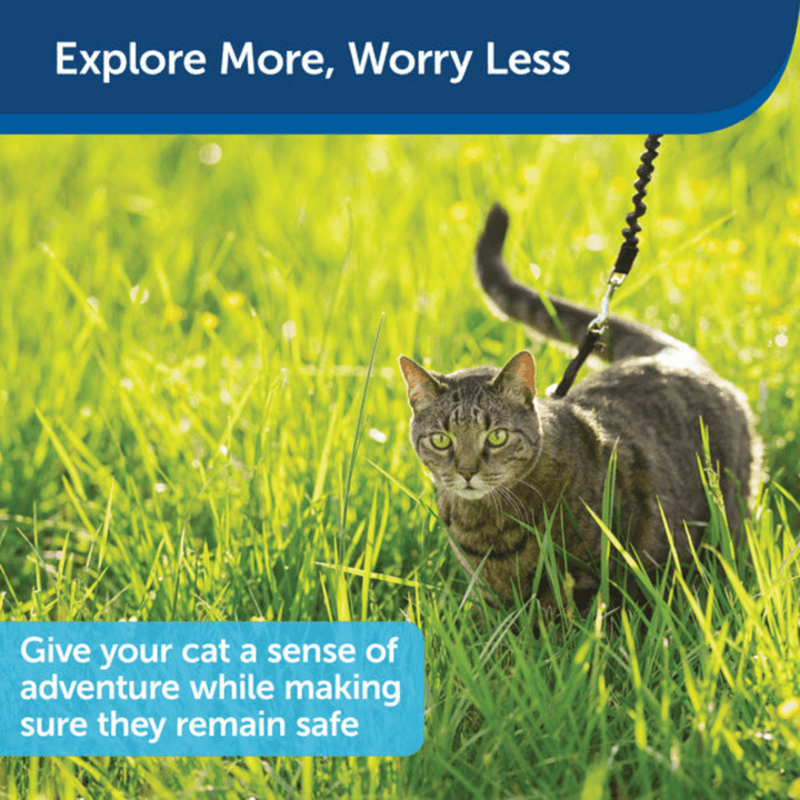 PetSafe Cat Leashes & Harness - Come With Me Kitty Harness & Bungee Leash - Toronto Pets