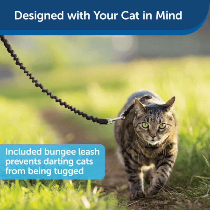 PetSafe Cat Leashes & Harness - Come With Me Kitty Harness & Bungee Leash - Toronto Pets