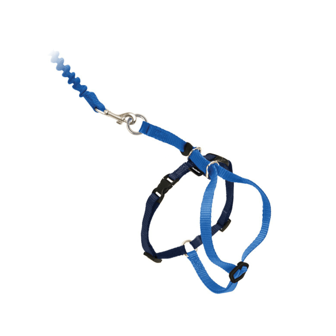 PetSafe Cat Leashes & Harness - Come With Me Kitty Harness & Bungee Leash - Toronto Pets