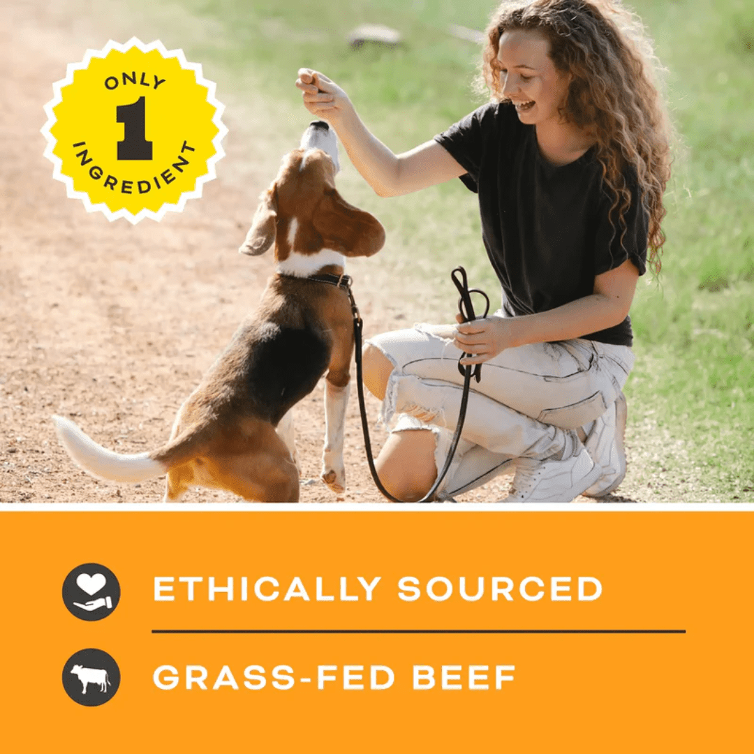 Primal Dehydrated Dog Treats - Let's All Get A Lung Beef Lunch Treats - Toronto Pets