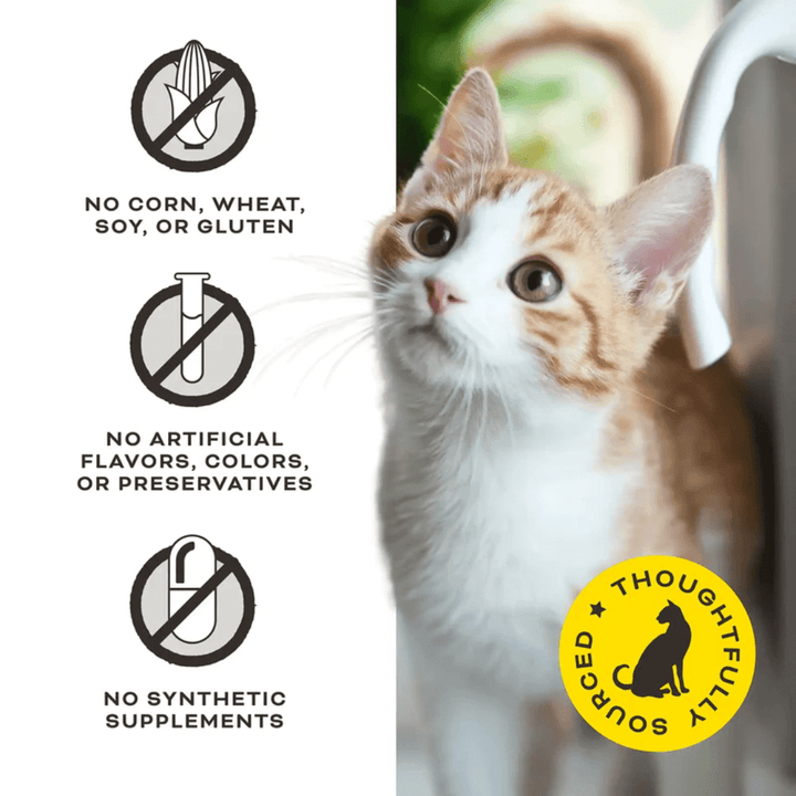 Primal Freeze - Dried Cat Treats - The G.O.A .T. Chicken & Goat Milk Treats - Toronto Pets