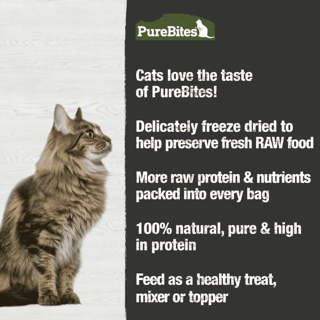 PureBites Freeze - Dried Cat Treats - Beef Liver - Toronto Pets