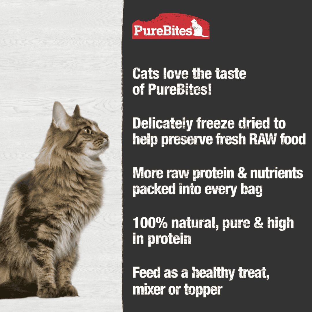 PureBites Freeze - Dried Cat Treats - Chicken Breast - Toronto Pets