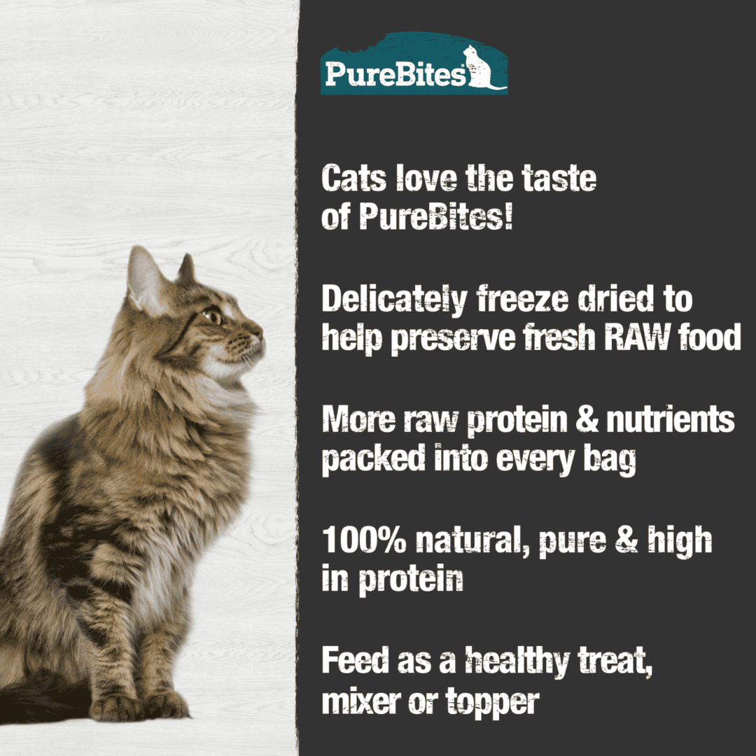 PureBites Freeze - Dried Cat Treats - Minnow - Toronto Pets