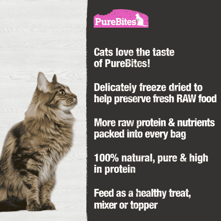 PureBites Freeze - Dried Cat Treats - Salmon - Toronto Pets