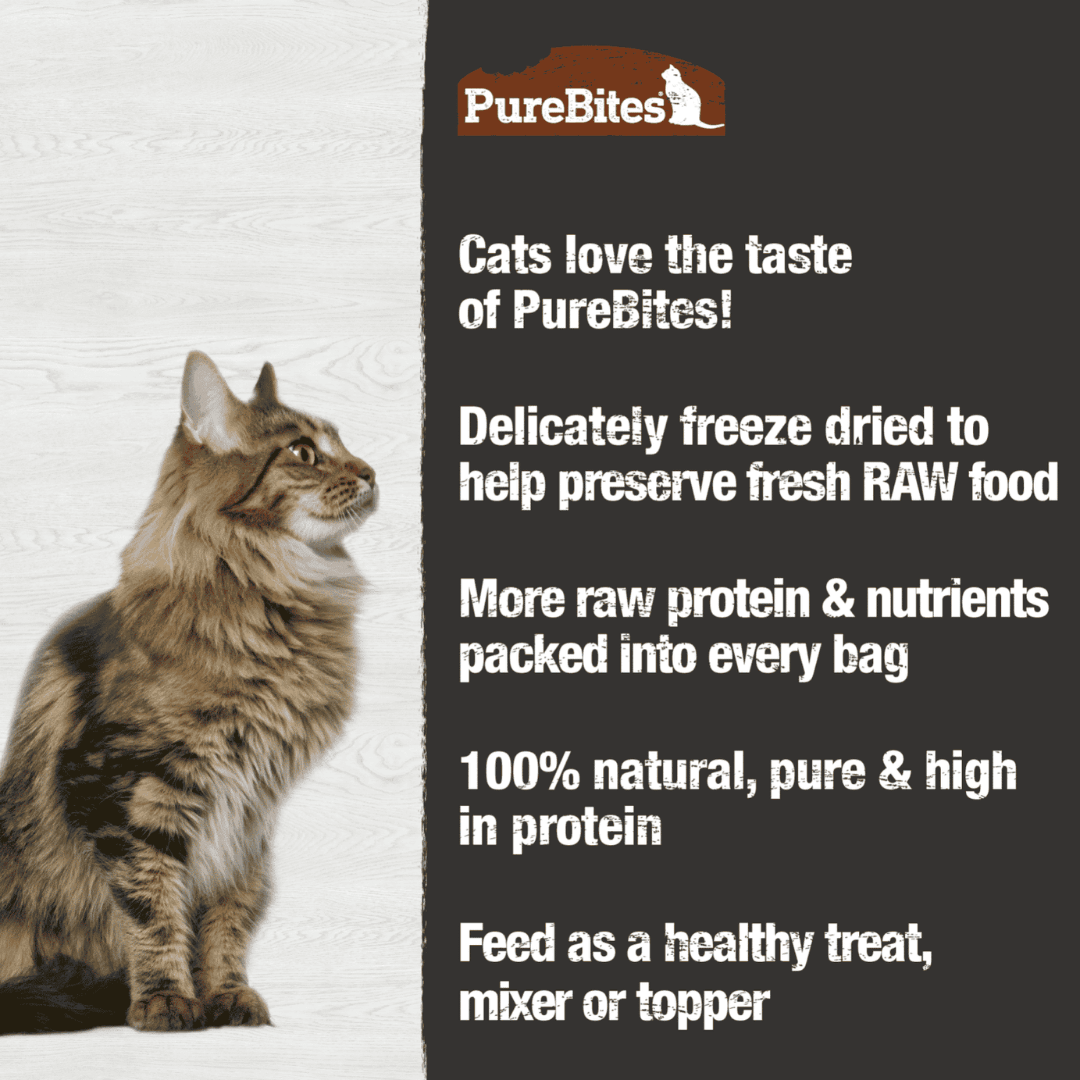 PureBites Freeze - Dried Cat Treats - Turkey - Toronto Pets