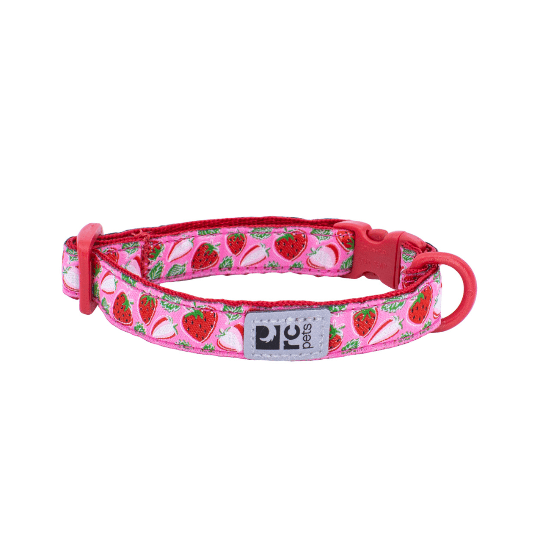 RC Pets Cat Collars - Kitty Breakaway Collar - Toronto Pets