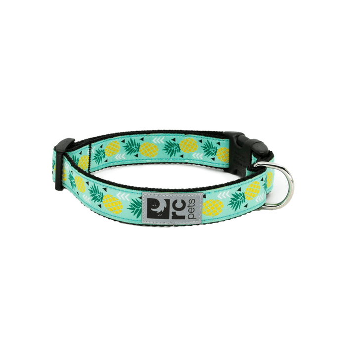 RC Pets Dog Collars - Clip Collar - Toronto Pets