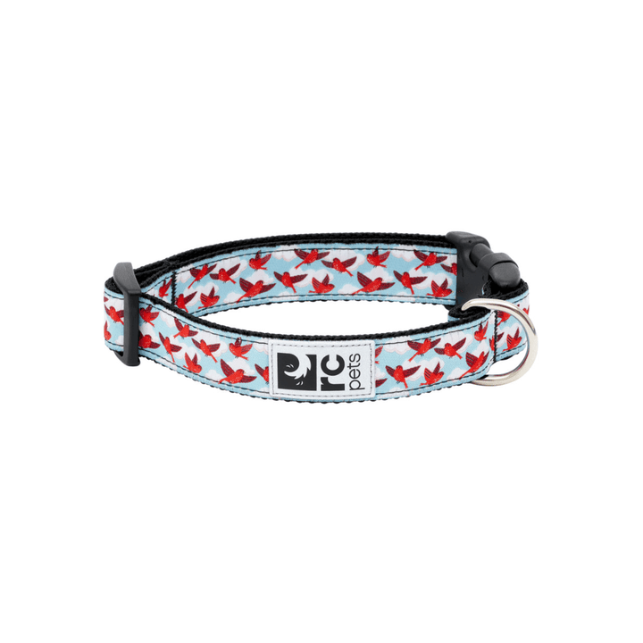 RC Pets Dog Collars - Clip Collar - Toronto Pets