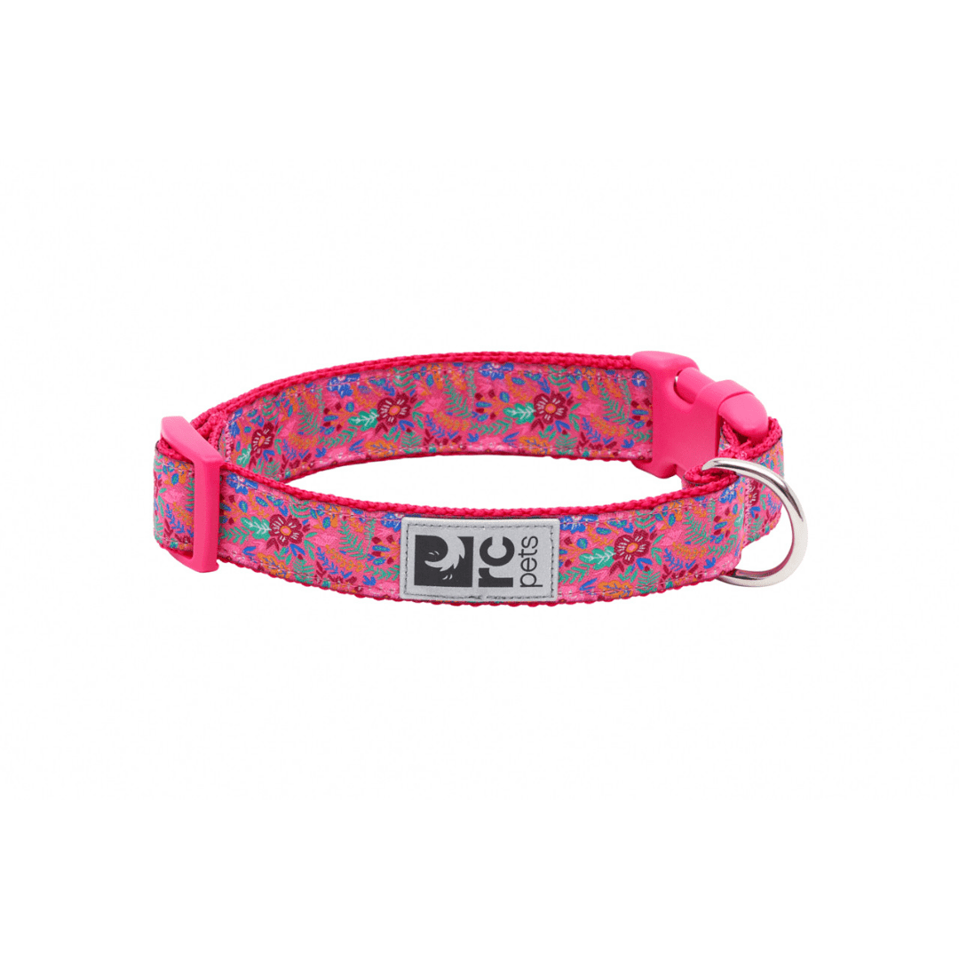 RC Pets Dog Collars - Clip Collar - Toronto Pets