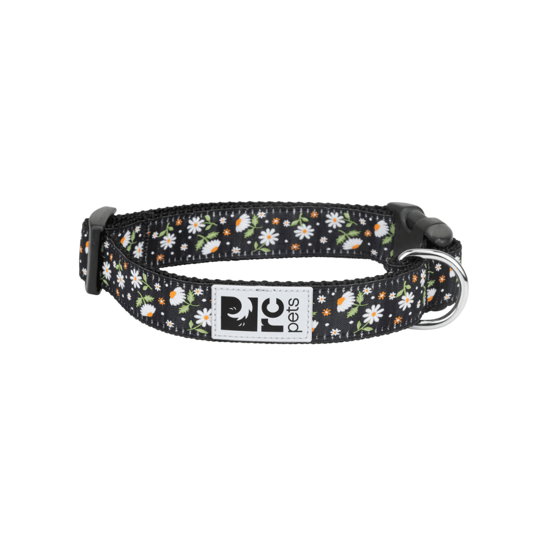 RC Pets Dog Collars - Clip Collar - Toronto Pets