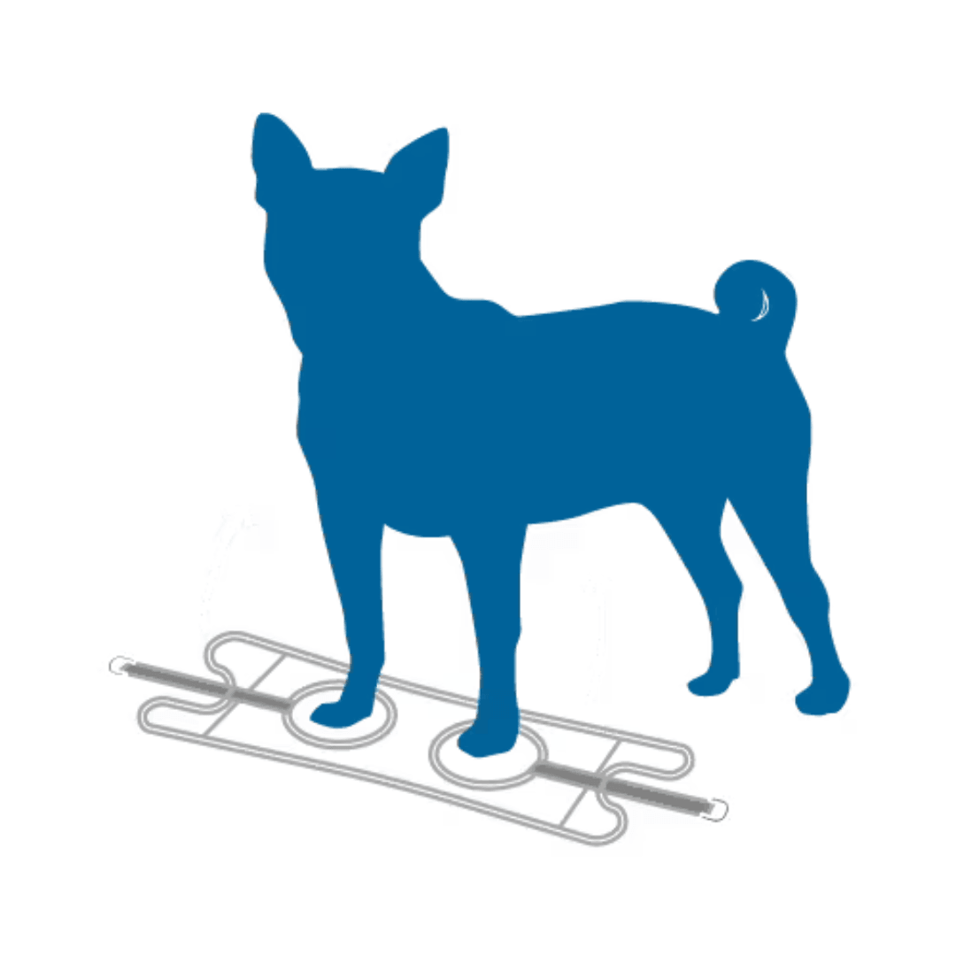 RC Pets Dog Harnesses - Solid Step In Cirque - Toronto Pets