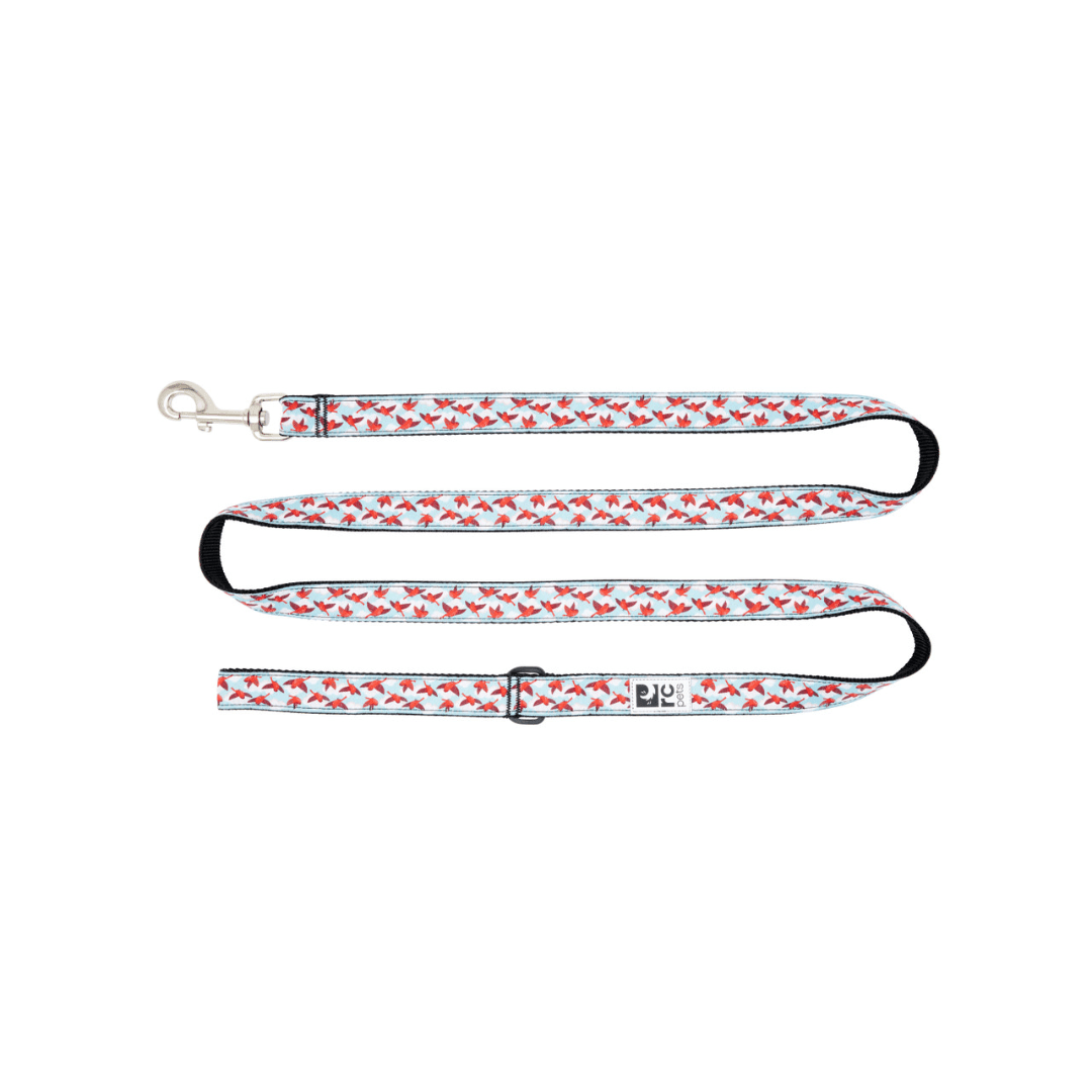 RC Pets Dog Leashes - Patterned Leash - Toronto Pets