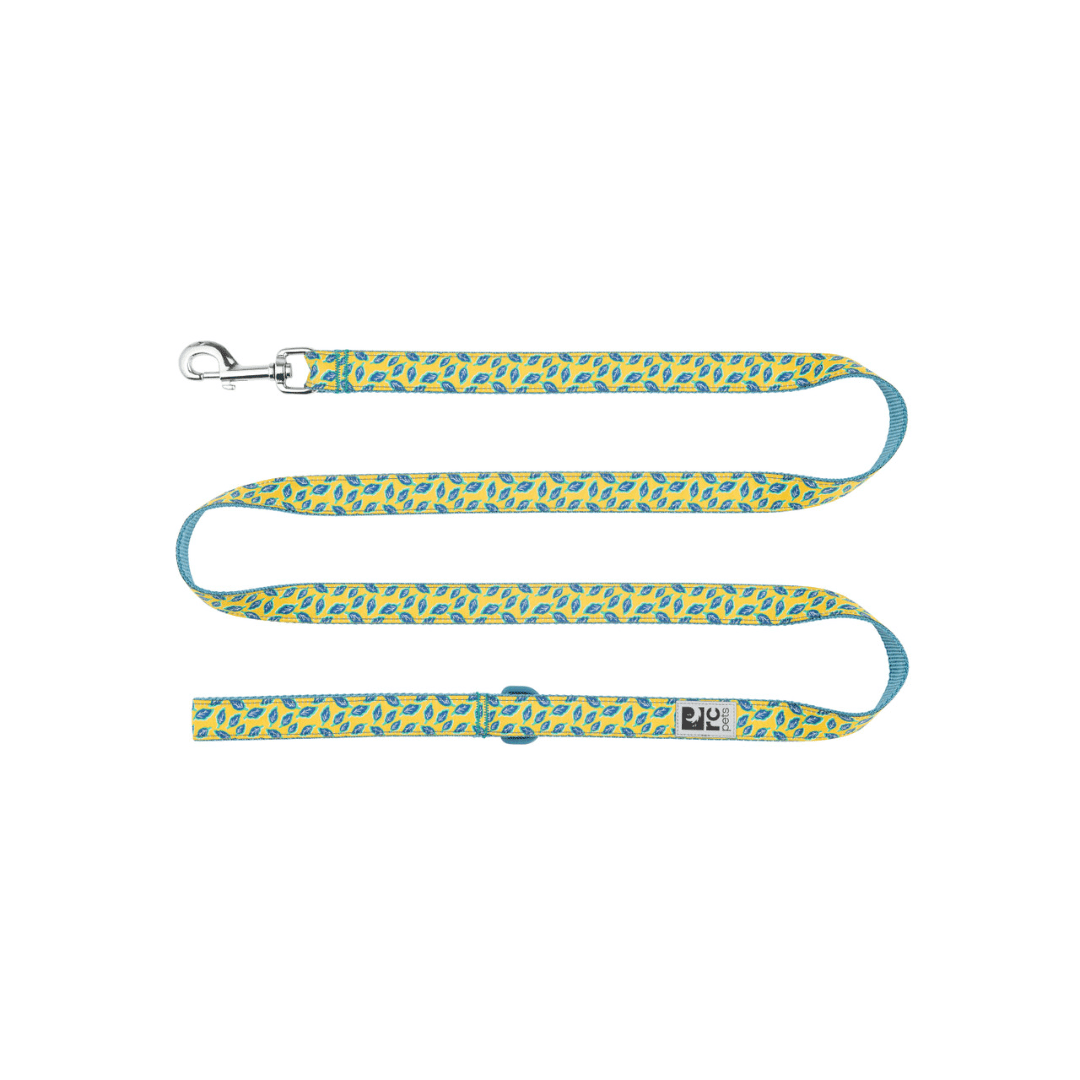 RC Pets Dog Leashes - Patterned Leash - Toronto Pets