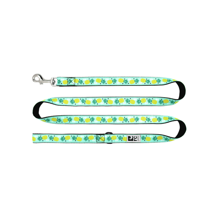 RC Pets Dog Leashes - Patterned Leash - Toronto Pets