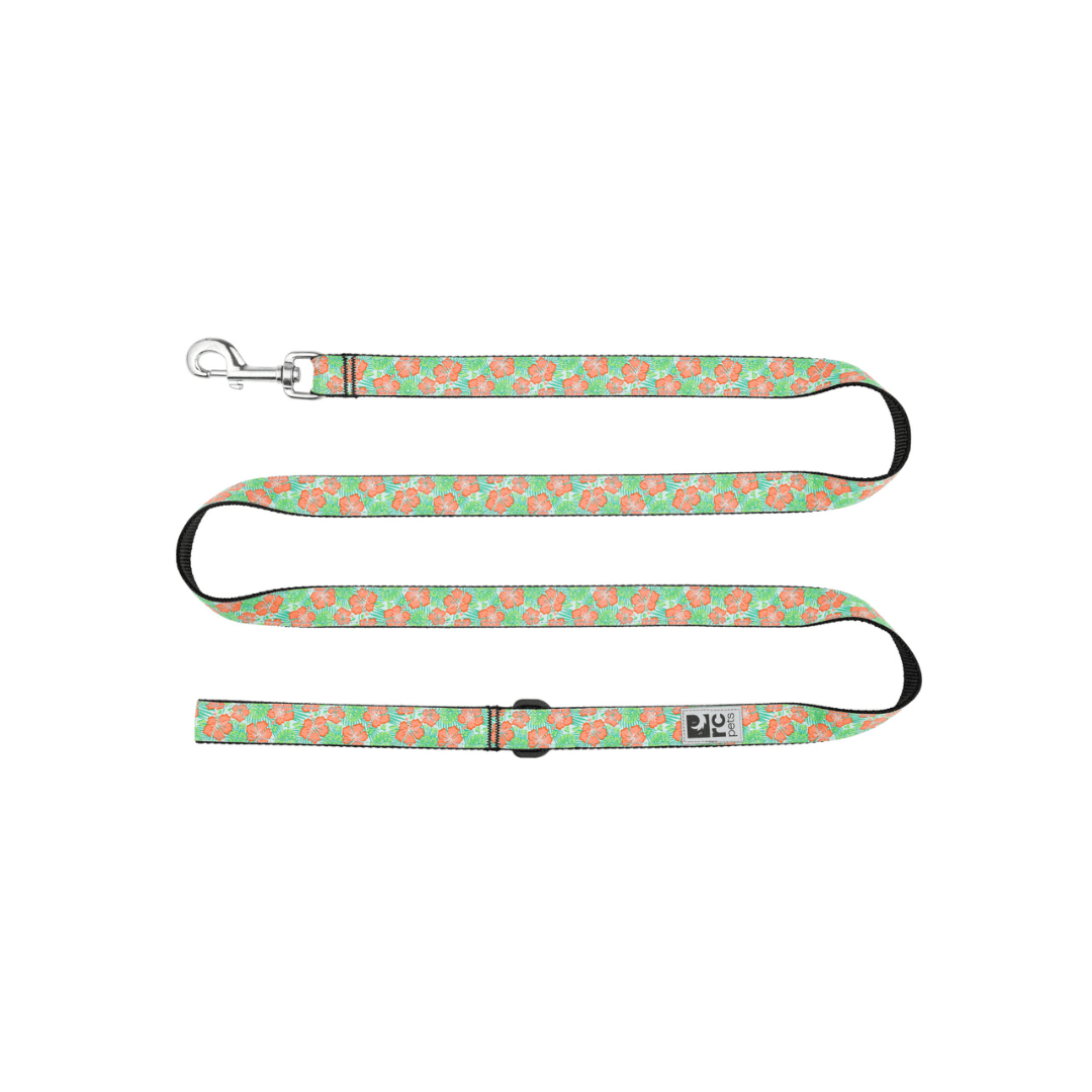 RC Pets Dog Leashes - Patterned Leash - Toronto Pets