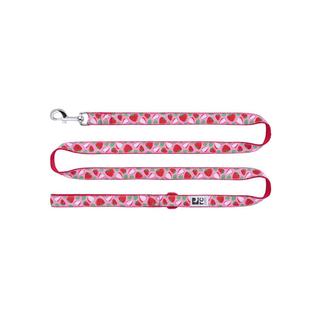 RC Pets Dog Leashes - Patterned Leash - Toronto Pets