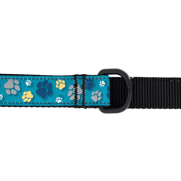 RC Pets Dog Leashes - Patterned Leash - Toronto Pets