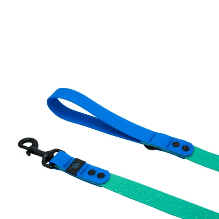 RC Pets Dog Leashes - Waterproof Leash - Toronto Pets