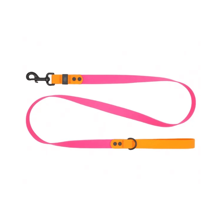 RC Pets Dog Leashes - Waterproof Leash - Toronto Pets