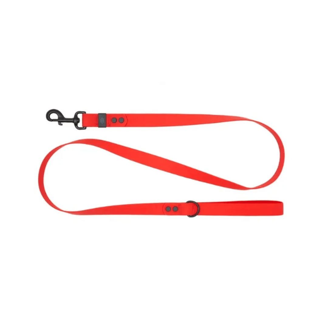 RC Pets Dog Leashes - Waterproof Leash - Toronto Pets