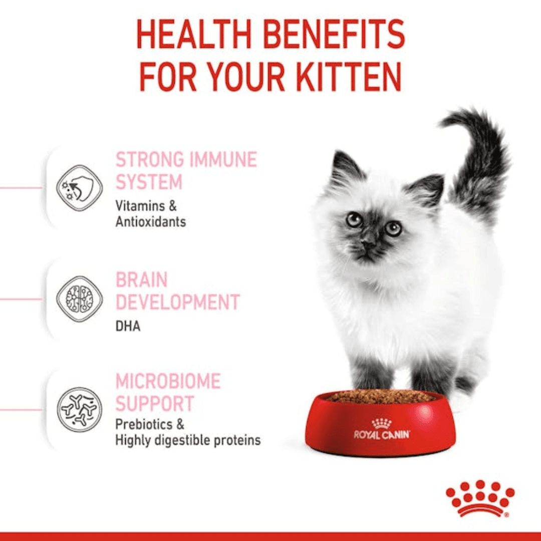 Royal Canin Dry Cat Food - Kitten - Toronto Pets